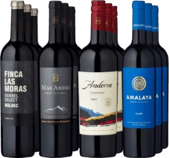 12er-Probierpaket »Südamerikanische Gaumenfreuden«