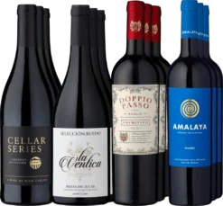 12er-Probierpaket »Rotweinreise Um Die Welt«