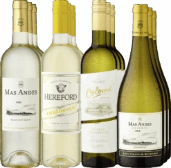 12er-Probierpaket »Südamerikas Weißweinjuwelen«
