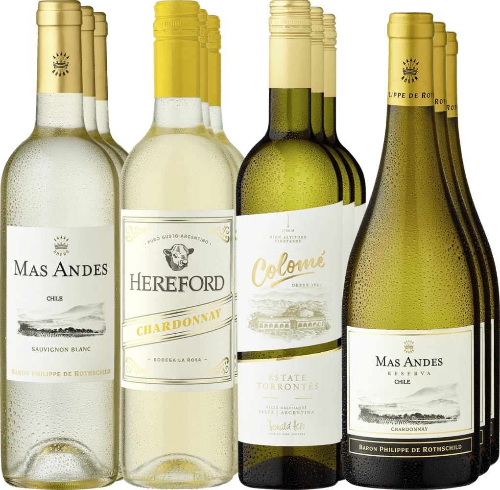 12er-Probierpaket »Südamerikas Weißweinjuwelen« 1 12er-Probierpaket »Südamerikas Weißweinjuwelen«