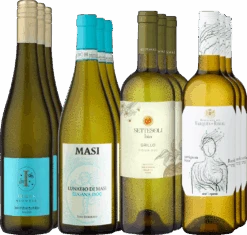 12er-Probierpaket »Bio-Weißweine«