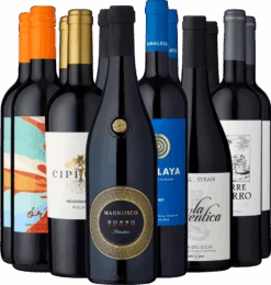 12er-Probierpaket »Topscorer Fürs Barbecue«