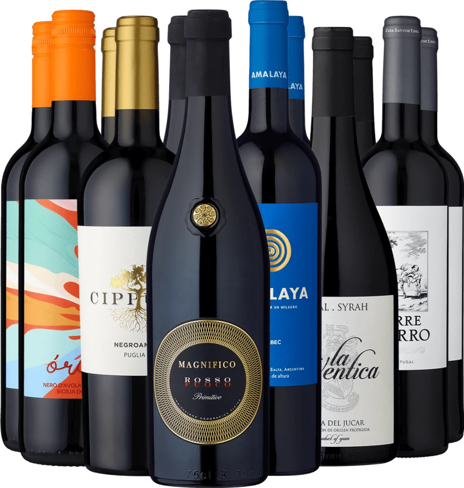 12er-Probierpaket »Topscorer Fürs Barbecue« 1 12er-Probierpaket »Topscorer Fürs Barbecue«