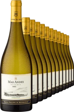 2022 Rothschild Mas Andes Reserva Chardonnay Im 12er-Vorratspaket