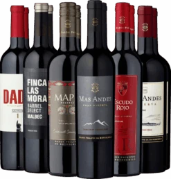 12er-Probierpaket »Südamerikas Rotweinjuwelen«