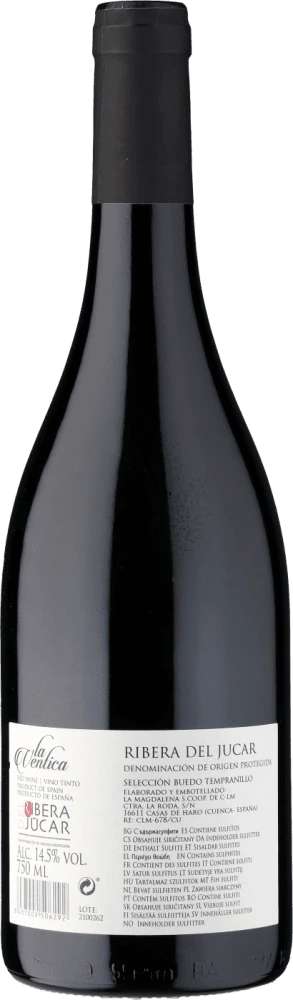 2018 »La Ventica« Selección Buedo Tempranillo 2 2018 »La Ventica« Selección Buedo Tempranillo – Bild 2