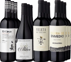 12er-Probierpaket »Spanisches Genusspaket In Rot«