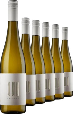2021 III Freunde Riesling Im 6er-Vorratspaket